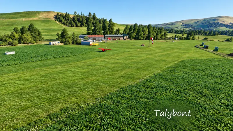 Red light aircraft on a mown grass strip below green hills at Talybont in Microsoft Flight Simulator